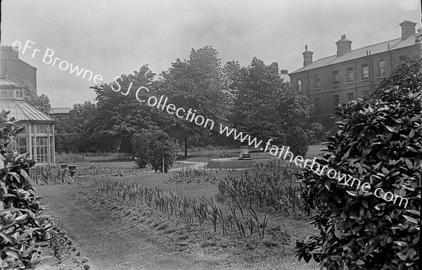 GARDINER STREET ST FRANCIS IN THE GARDEN GENERAL